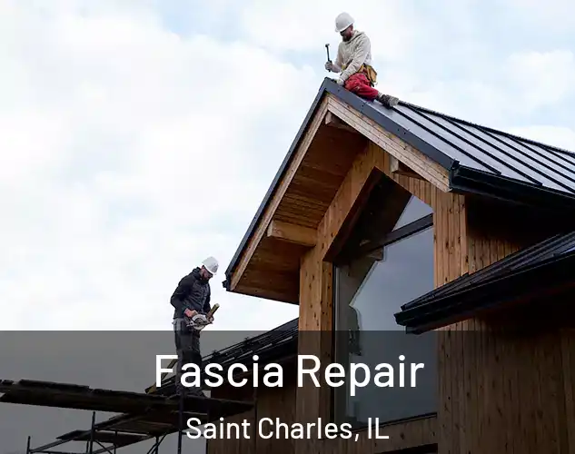  Fascia Repair Saint Charles, IL