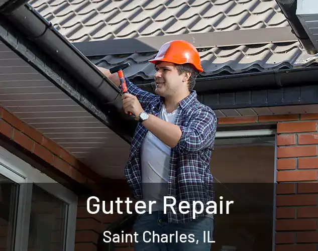  Gutter Repair Saint Charles, IL