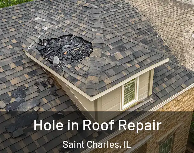  Hole in Roof Repair Saint Charles, IL