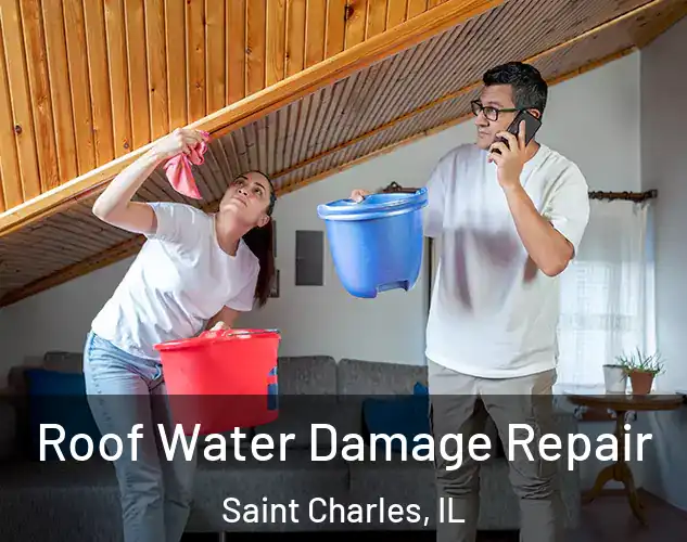 Roof Water Damage Repair Saint Charles, IL